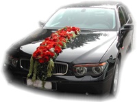 Autoschmuck Fries in rot