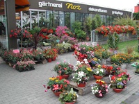 Ladengeschäft mit sommerlichen Pflanzschalen etc.