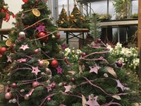 Dekorierte Christbäumchen warten in der Gärtnerei auf Abholung